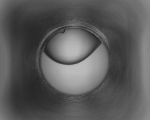 X0000101091368200806261053