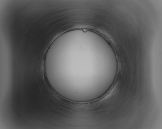X0000101091369200806261053