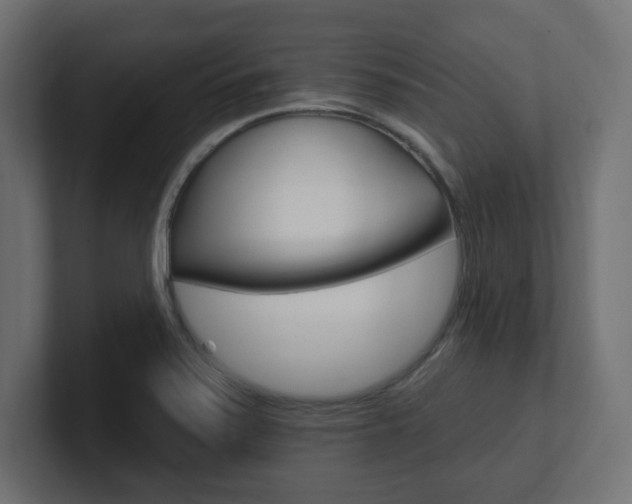 X0000101091371200806261053