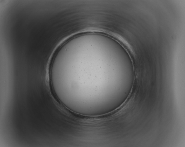 X0000101091372200806261053