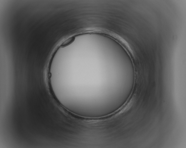 X0000101091373200806261053