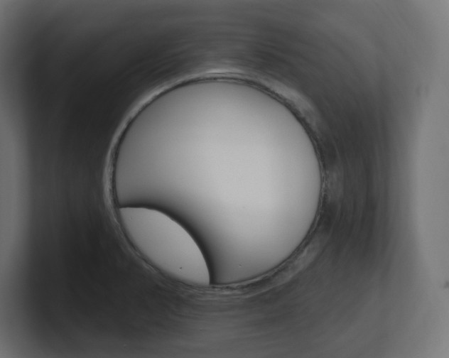 X0000101091374200806261053