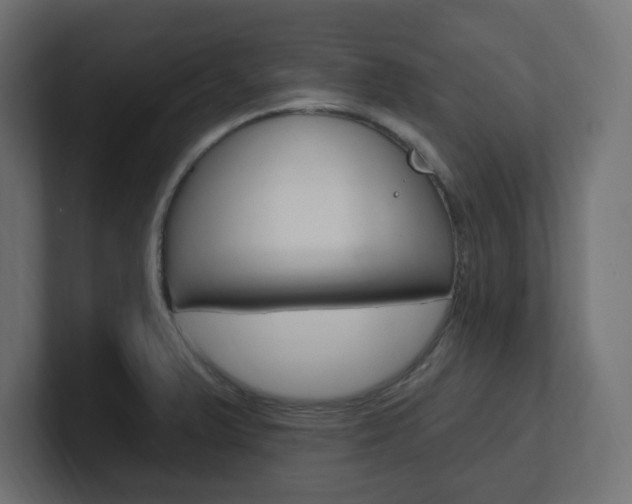 X0000101091375200806261053