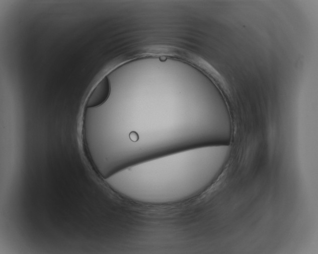 X0000101091378200806261053