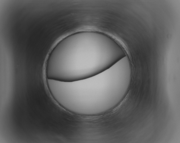 X0000101091382200806261053