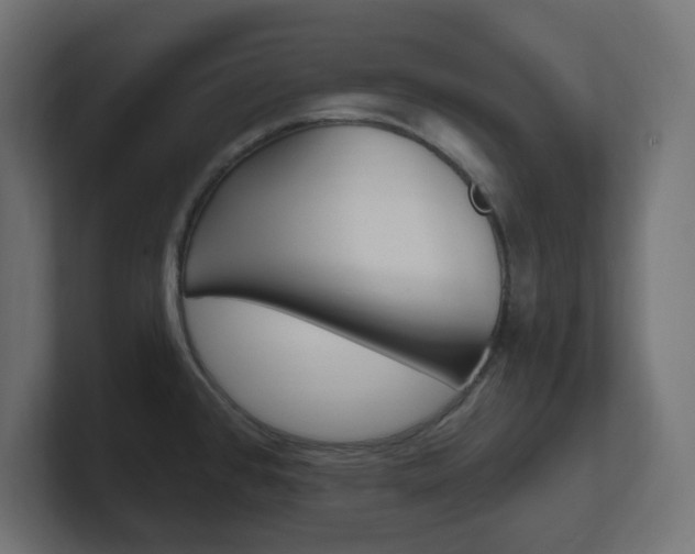 X0000101091384200806261053