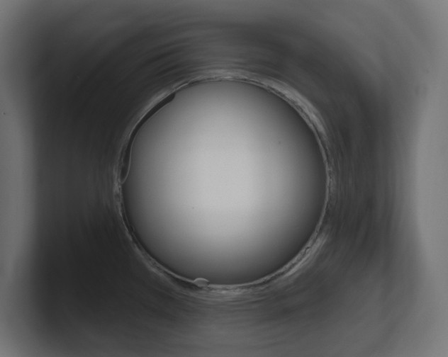 X0000101091385200806261053