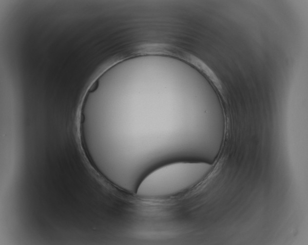 X0000101091386200806261053