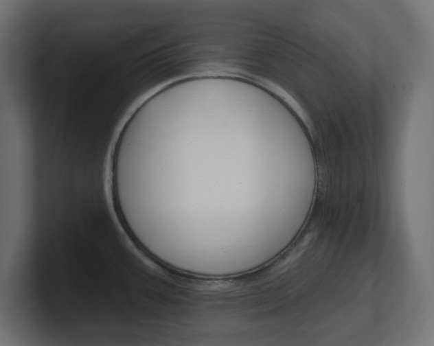 X0000101091387200806261053