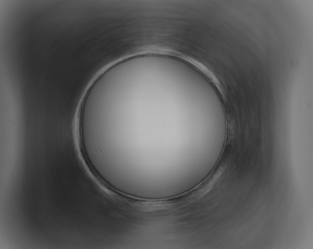 X0000101091391200806261053
