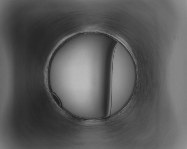 X0000101091392200806261053