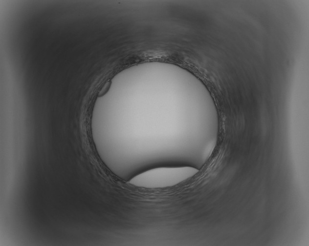 X0000101091393200806261052