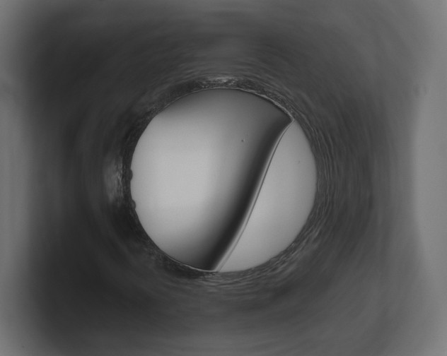 X0000101091394200806261052