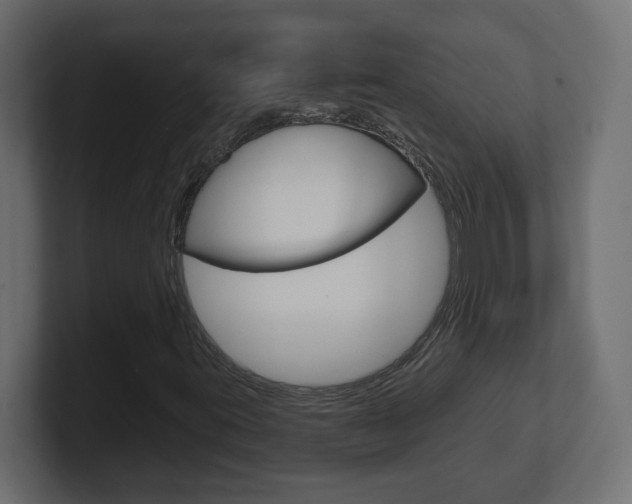 X0000101091395200806261052