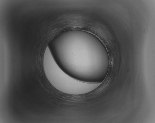 X0000101091396200806261052