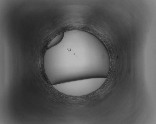 X0000101091397200806261052