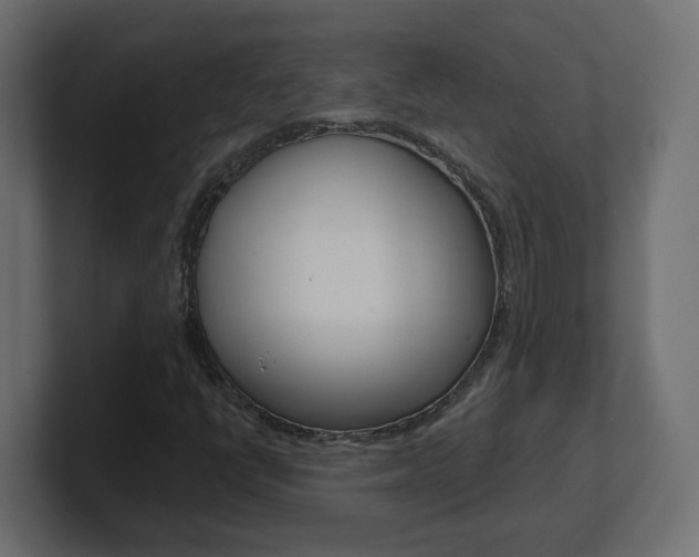 X0000101091398200806261052