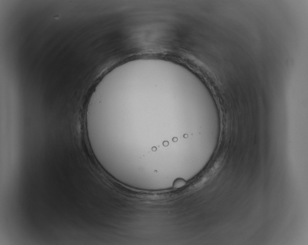 X0000101091401200806261052