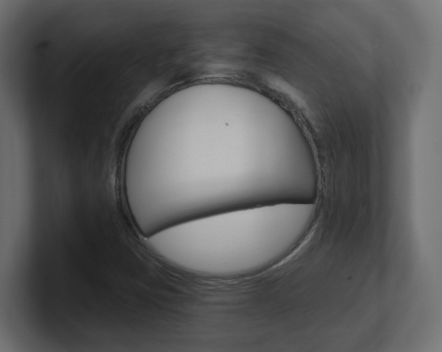 X0000101091403200806261052