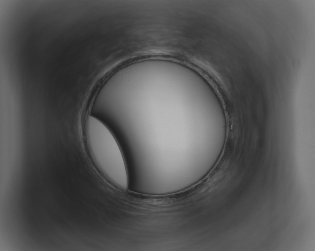 X0000101091404200806261052