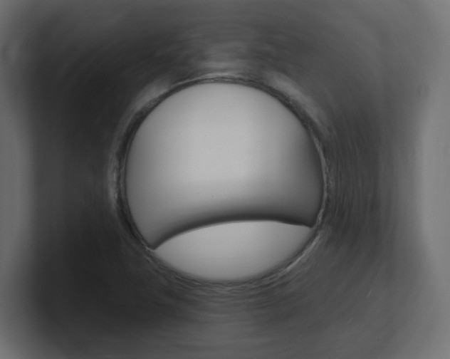 X0000101091411200806261053