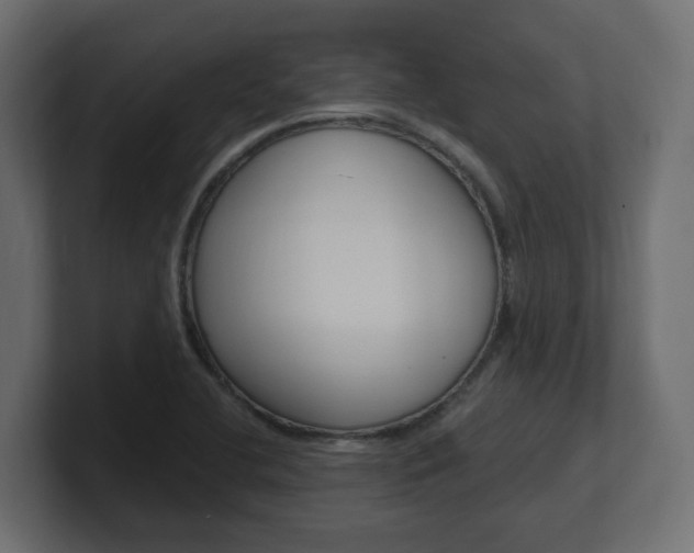 X0000101091412200806261053