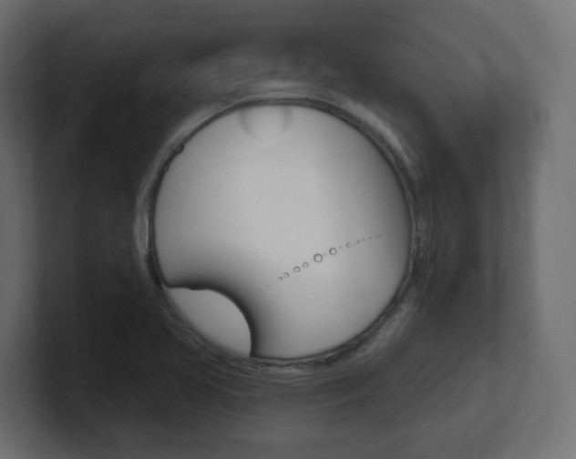 X0000101091413200806261053