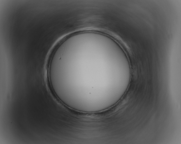 X0000101091416200806261053
