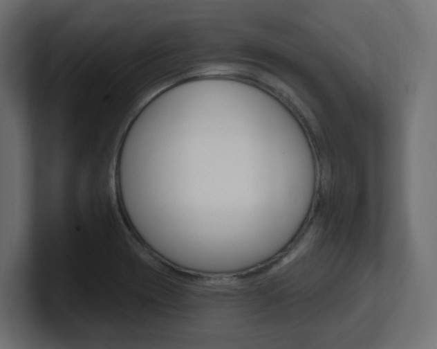 X0000101091417200806261053