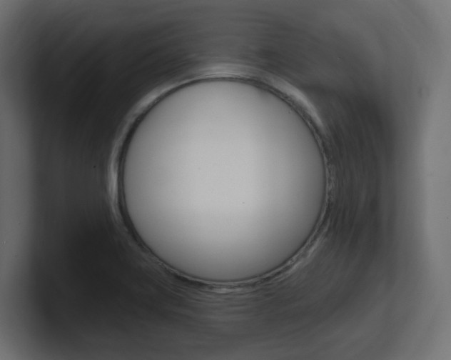 X0000101091419200806261053