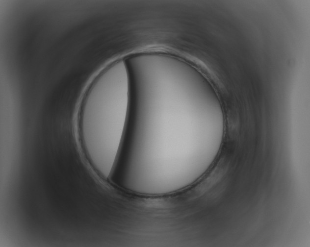 X0000101091422200806261053