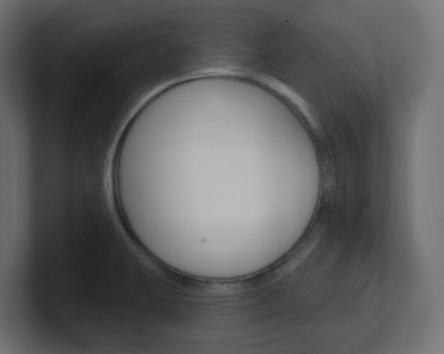 X0000101091423200806261053