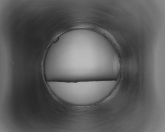 X0000101091425200806261053
