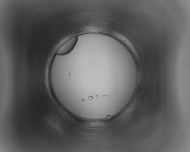 X0000101091427200806261053