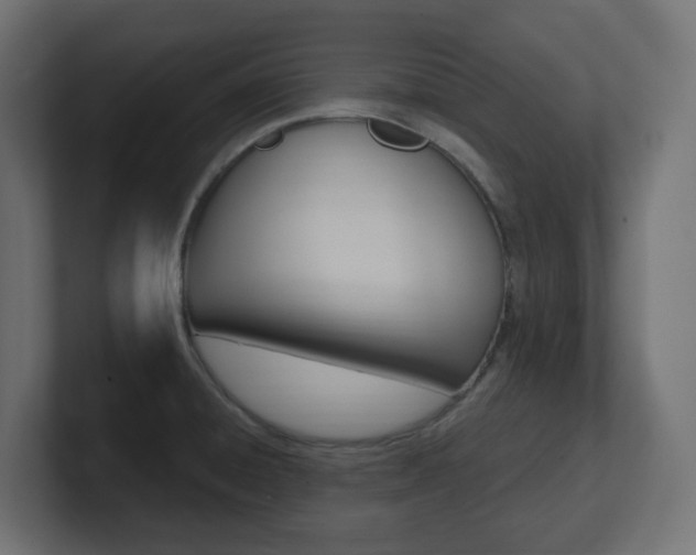 X0000101091428200806261053