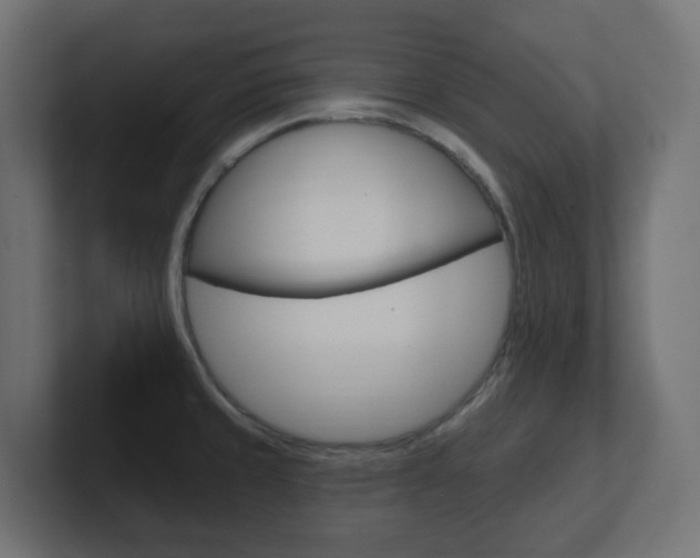X0000101091429200806261053