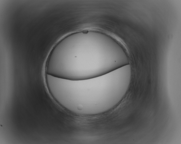 X0000101091431200806261053