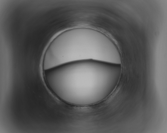 X0000101091432200806261053
