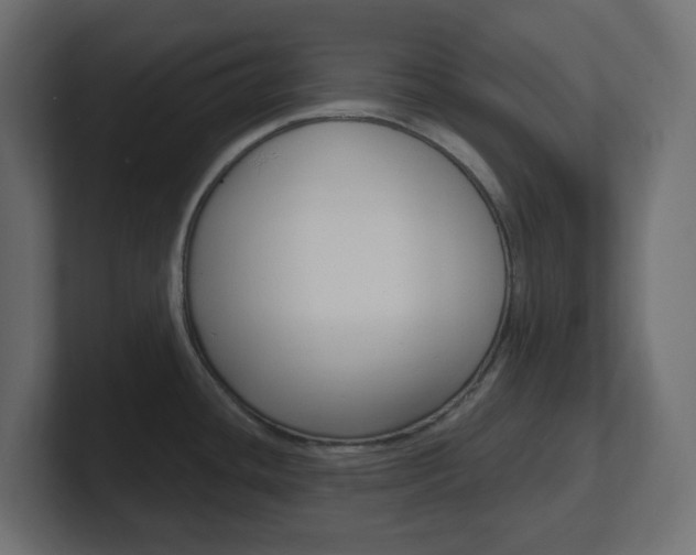X0000101091436200806261053