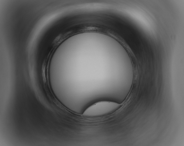 X0000101091439200806261053
