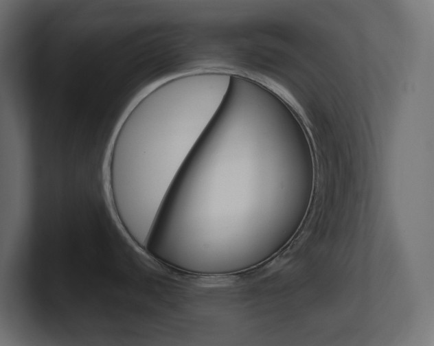 X0000101091440200806261053