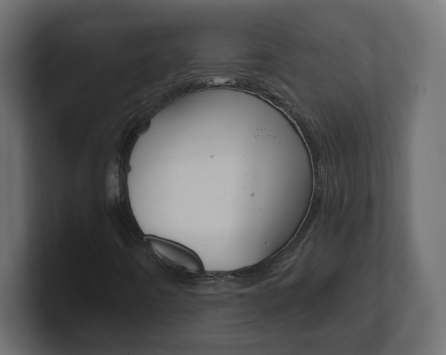 X0000101091442200806261052