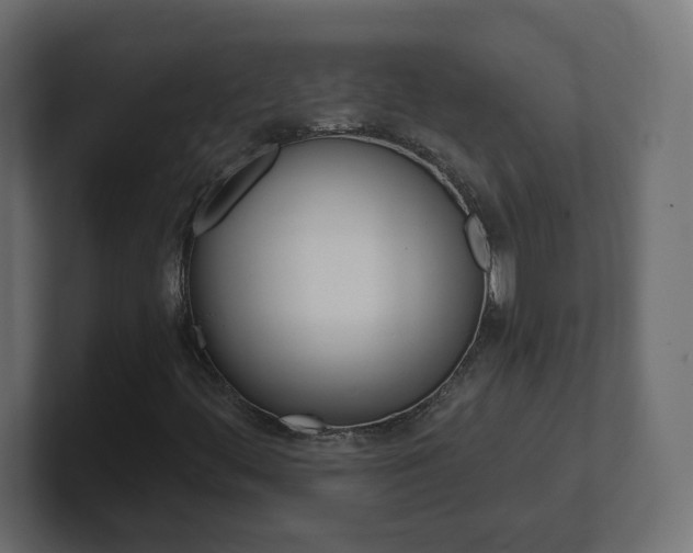 X0000101091444200806261052