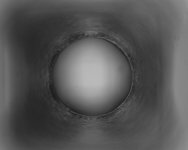 X0000101091445200806261052
