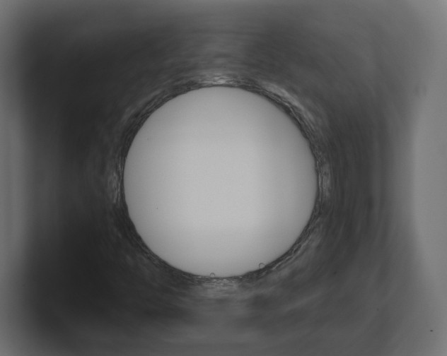 X0000101091446200806261052