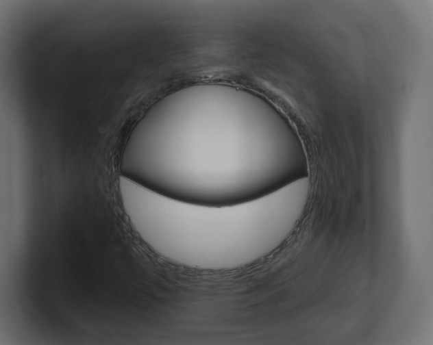 X0000101091447200806261052