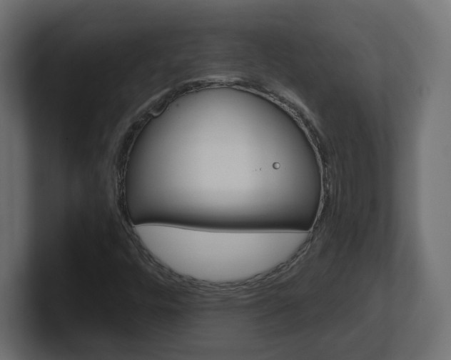 X0000101091448200806261052