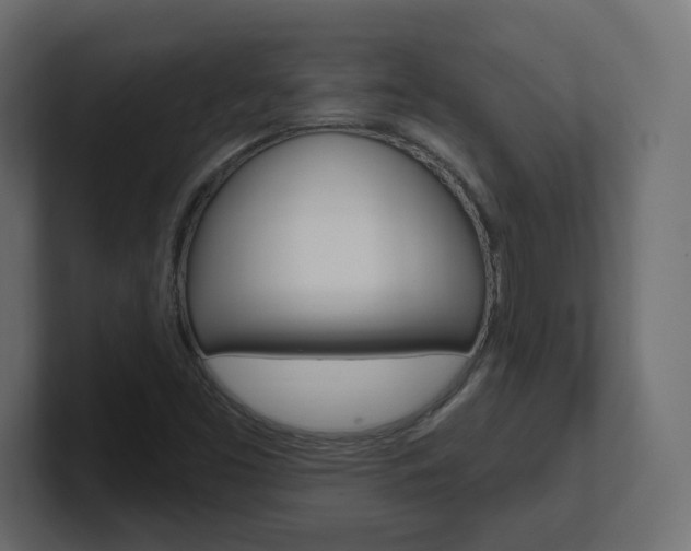 X0000101091453200806261052