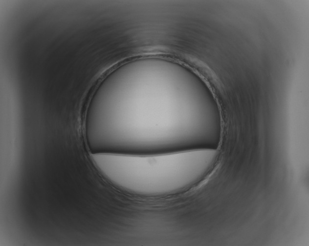 X0000101091457200806261052