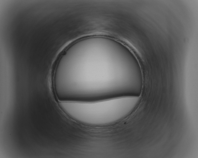 X0000101091460200806261052